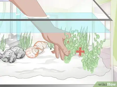 Image titled Decorate a Fish Tank Step 8