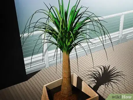 Image titled Choose Low‐Maintenance Houseplants Step 3