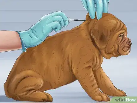 Image titled Know if You Are Ready for a Dog Step 42