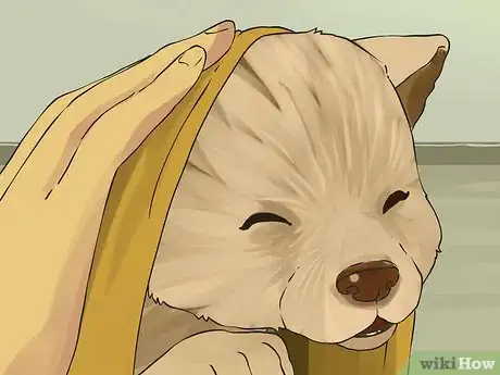 Image titled Give a Small Dog a Bath Step 15