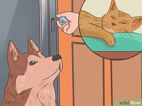 Image titled Prevent Jealousy in Current Pets when Getting a New Dog Step 7