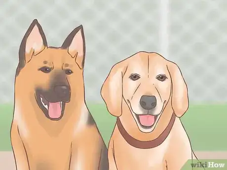 Image titled Choose a Second Dog Step 10