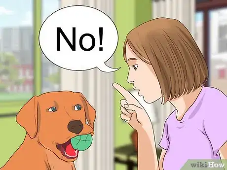 Image titled Prevent Jealousy in Current Pets when Getting a New Dog Step 8