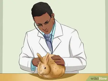 Image titled Care for Satin Angora Rabbits Step 1