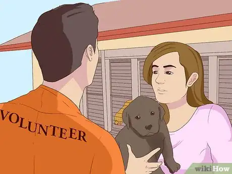 Image titled Become a Guide Dog Trainer Step 2