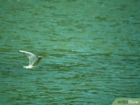 Image titled Spend Summer Vacation in the Mountains Step 5