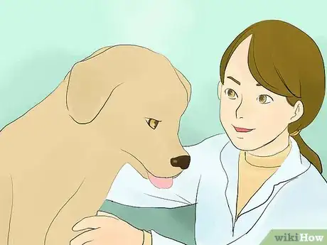 Image titled Calm a Hyperactive Dog Step 12