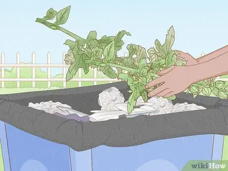 Image titled Prune Hollyhocks Step 7