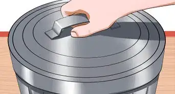 Protect Your Dog from Holiday Hazards