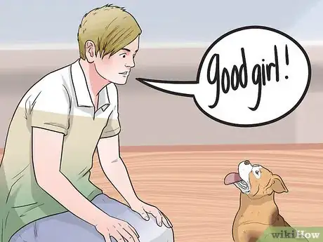 Image titled Train a Dog to Respond to Voice Commands Step 13