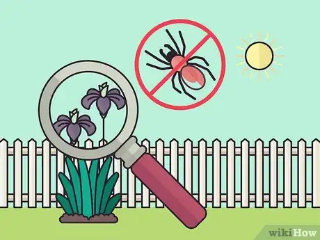 Image titled Store Iris Bulbs Step 3