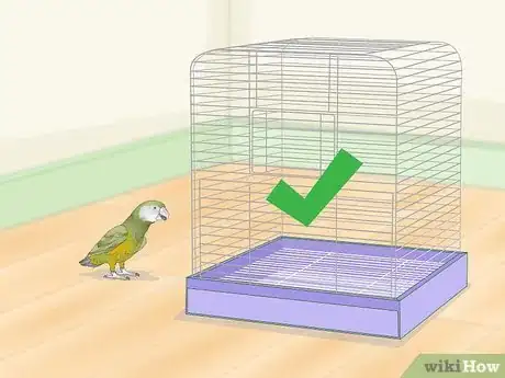 Image titled Keep a Senegal Parrot Entertained Step 1