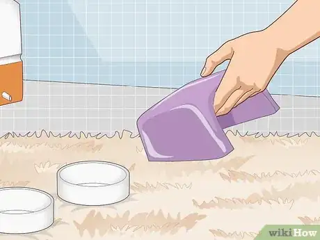 Image titled Ensure a Happy Life for Your Guinea Pig Step 8