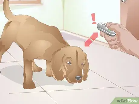 Image titled Clicker Train a Dog to Bow Step 9