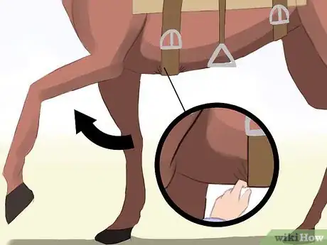 Image titled Saddle a Horse Western Step 10