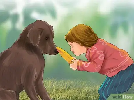 Image titled Keep Toy Breed Dogs Safe Around Kids Step 16
