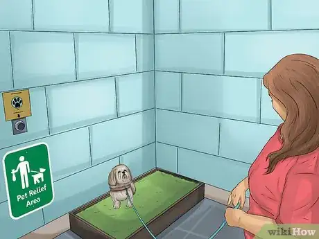 Image titled Prepare a Dog for Air Travel Step 12