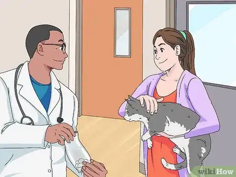 Image titled Handle Mothball Poisoning in Cats Step 9