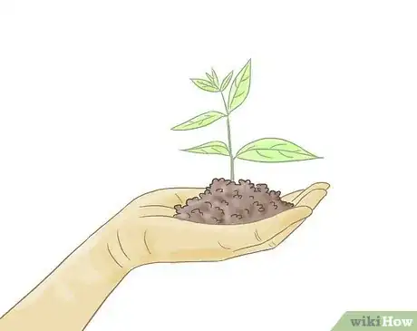 Image titled Start Guerrilla Gardening Step 3