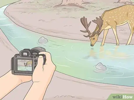 Image titled Take Good Photos of Nature Step 1