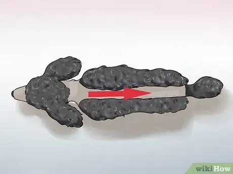 Image titled Do a Banded Dutch on a Poodle Step 6