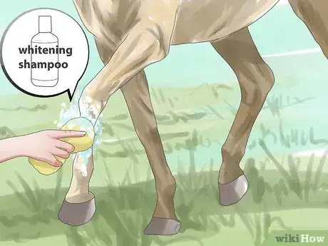 Image titled Prepare for a Horse Show Step 7