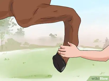 Image titled Train a Horse to Shake a Hoof Step 9