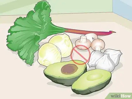 Image titled Choose Guinea Pig Food Step 13