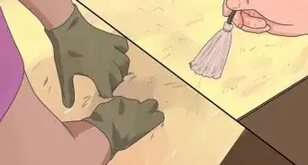 Travel With a Small Pet