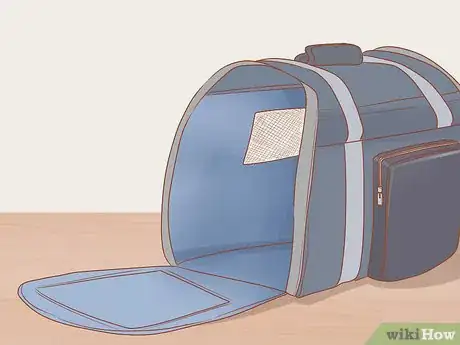 Image titled Adopt a Pair of Kittens Step 17