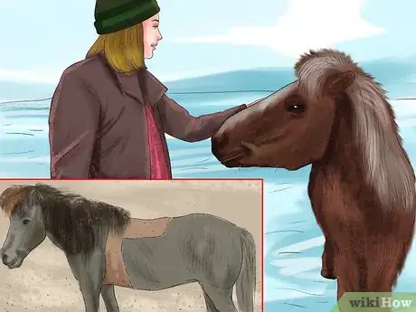 Image titled Ride an Icelandic Horse Step 9