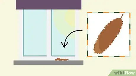 Image titled Grow Birch Trees Step 3