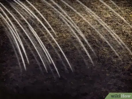 Image titled Grow Cosmos Flowers Step 8