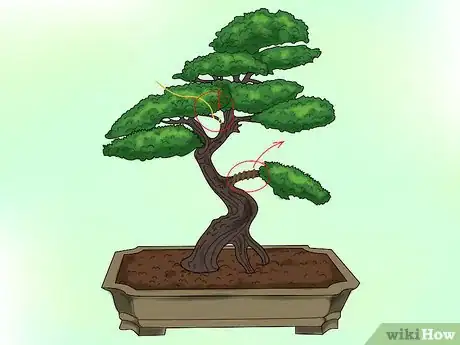 Image titled Make a Western Hemlock Bonsai Tree Step 7