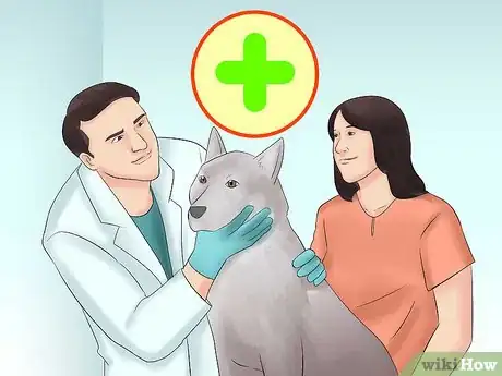 Image titled Help Pets Cope with the Back‐to‐School Transition Step 11