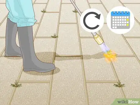 Image titled Burn Weeds in Rocks Step 14