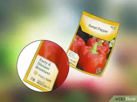 Image titled Plan a Vegetable Garden Step 5