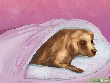 Image titled Manage Aggression in Older Dogs Step 1