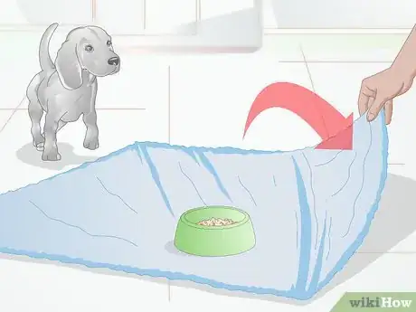 Image titled Make Feeding Comfortable for Arthritic Dogs Step 3