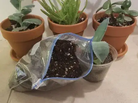 Image titled Buyormakesoil