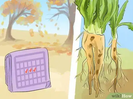 Image titled Harvest and Use Dandelion Roots Step 1