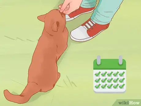 Image titled Keep Your Pets Happy Step 1