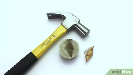 Image titled Make Fossils Step 11