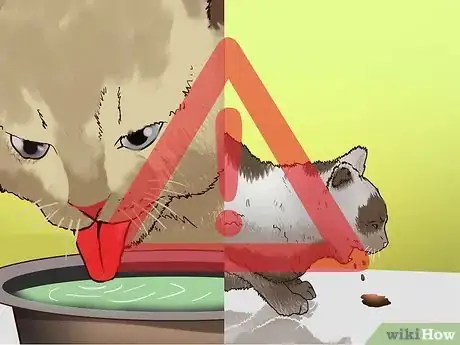 Image titled Prevent Kidney Disease in Cats Step 12