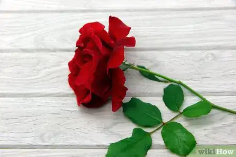 Image titled Make Rose Butter Step 1