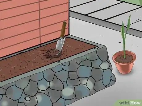 Image titled Grow Snake Grass Step 7