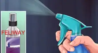 Check Your Cat's Nose