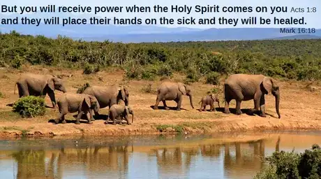 Image titled Acts 1v8 Mark16v18.png