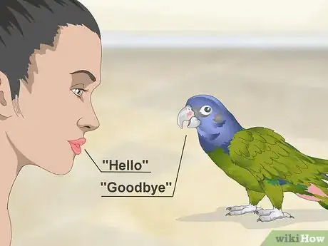 Image titled Keep a Pionus Parrot Entertained Step 12