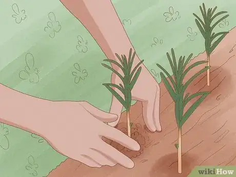 Image titled Garden if You Have Seasonal Allergies Step 11